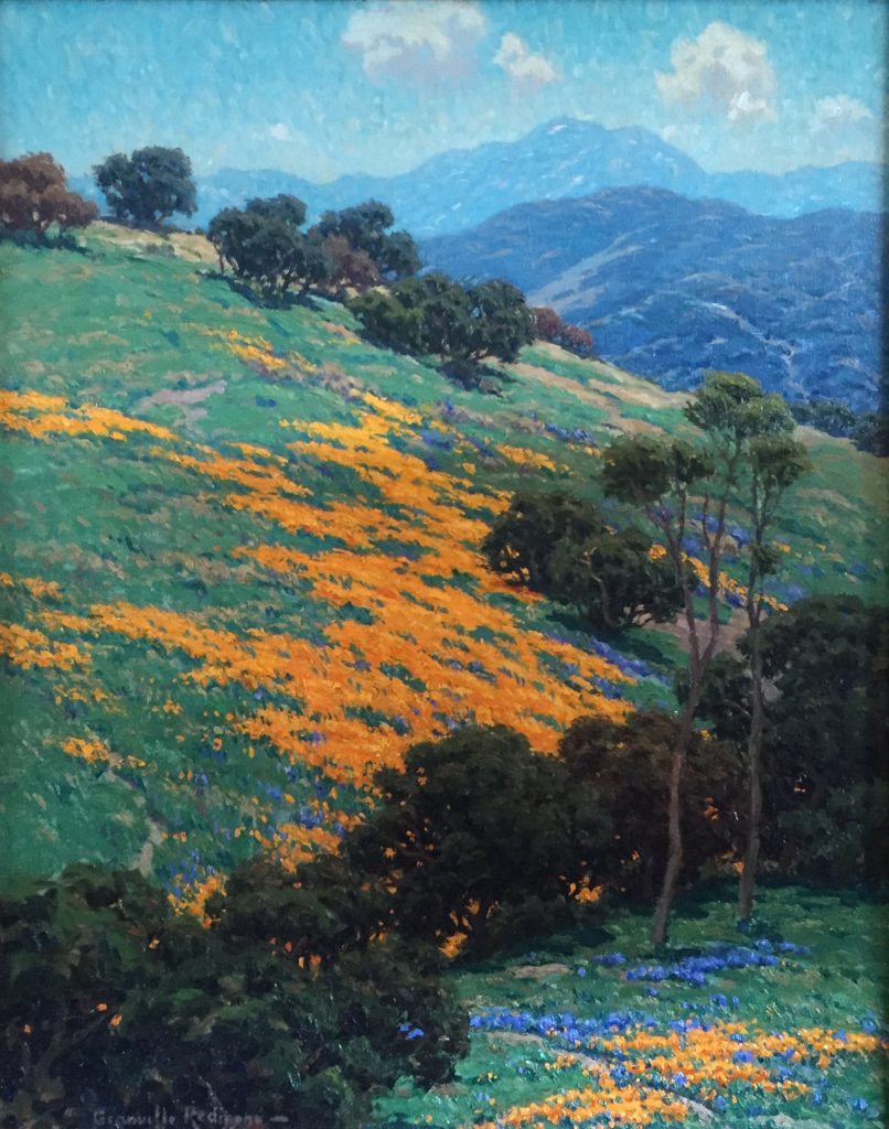 California Poppy Fields